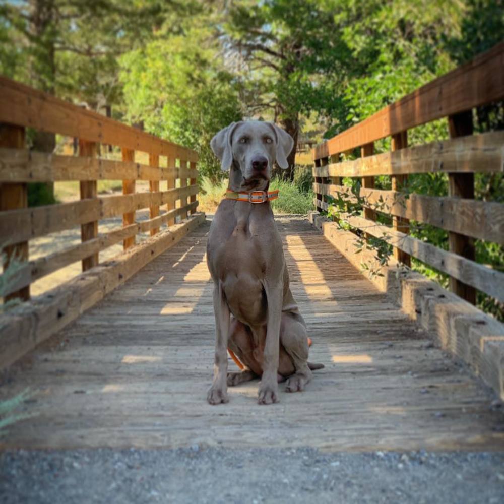 Meet your Posher, Becca